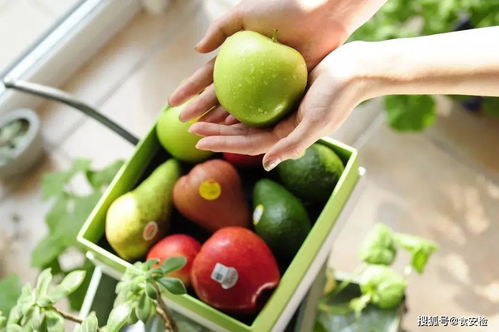 智慧農貿精準管理 苗木全產業鏈效率提升之道